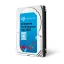 SEAGATE 900 GB EXOS 15E900 disque dur (ST900MP0006)